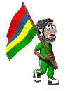 Bern flag